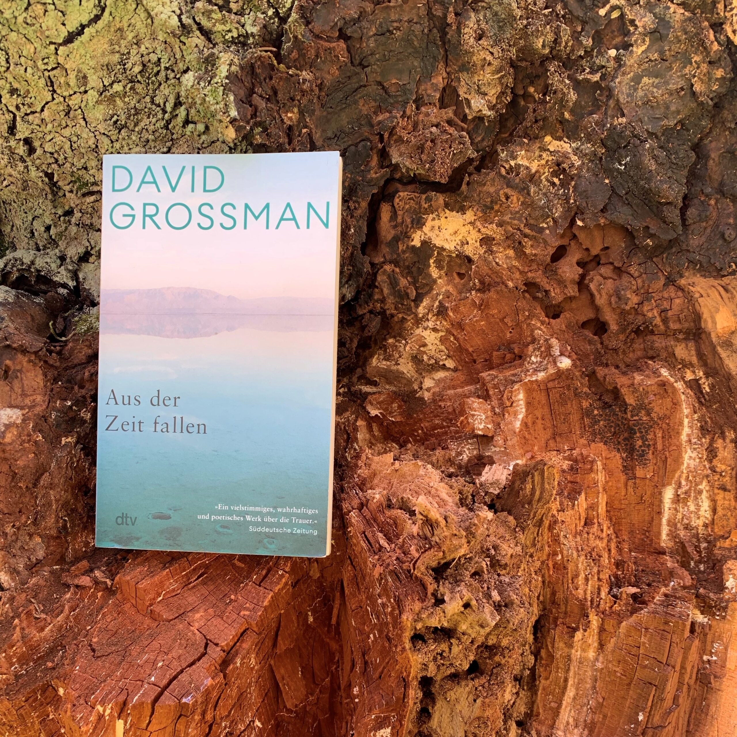 Das Cover des Buches von David Grossman: Aus der Zeit fallen.