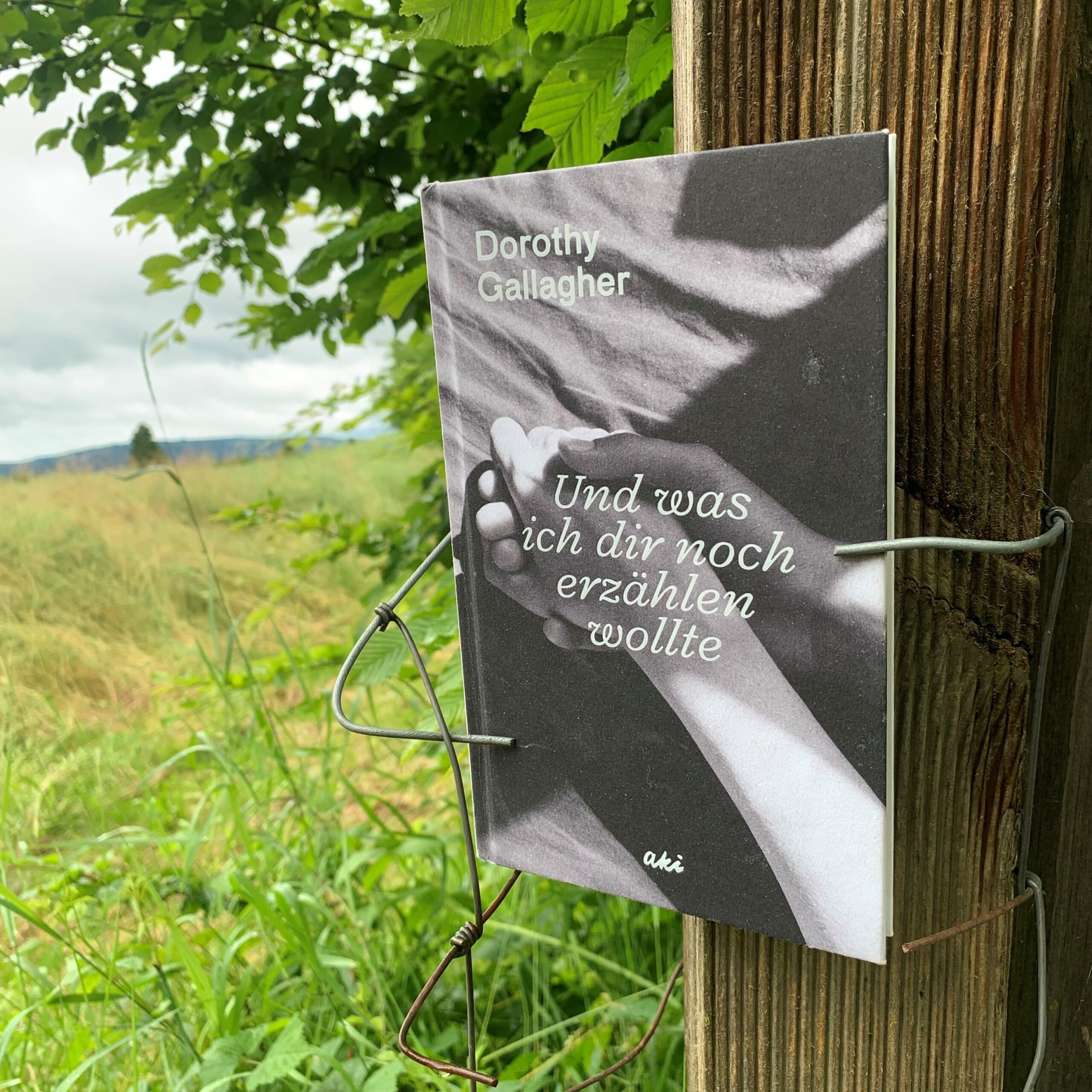 Das Cover des Buches von Dorothy Gallagher: Und was ich dir noch erzählen wollte.