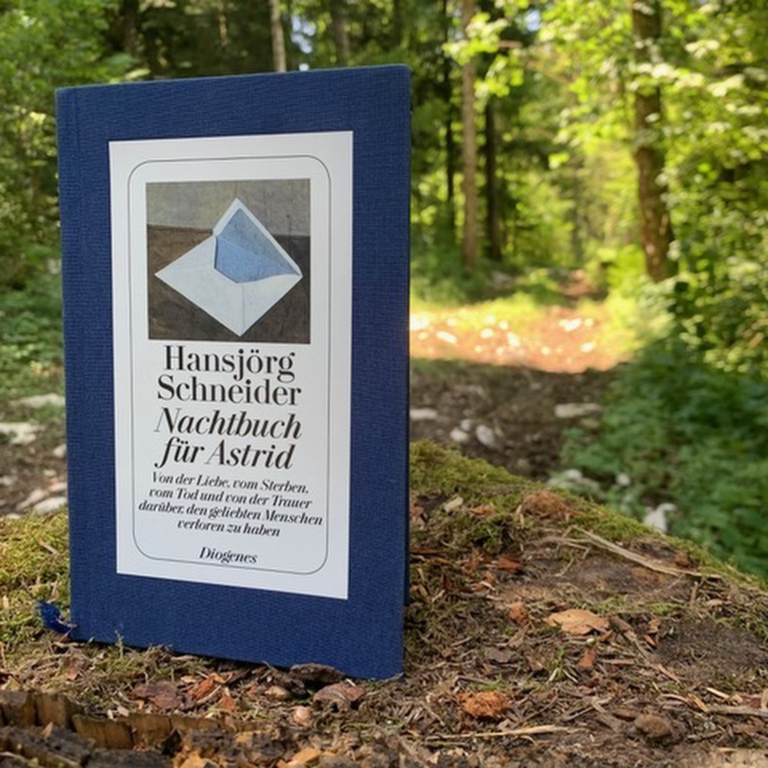 Cover des Buches von Hansjörg Schneider: Nachtbuch für Astrid.