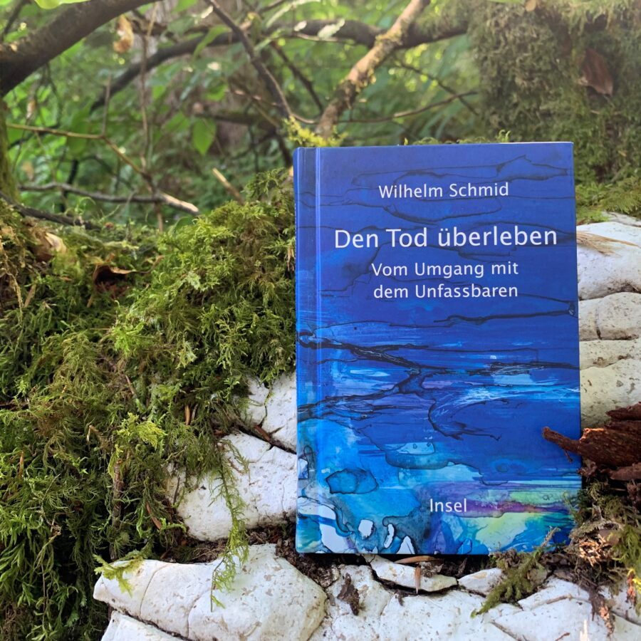 Cover des Buches von Wilhelm Schmid: Den Tod überleben.