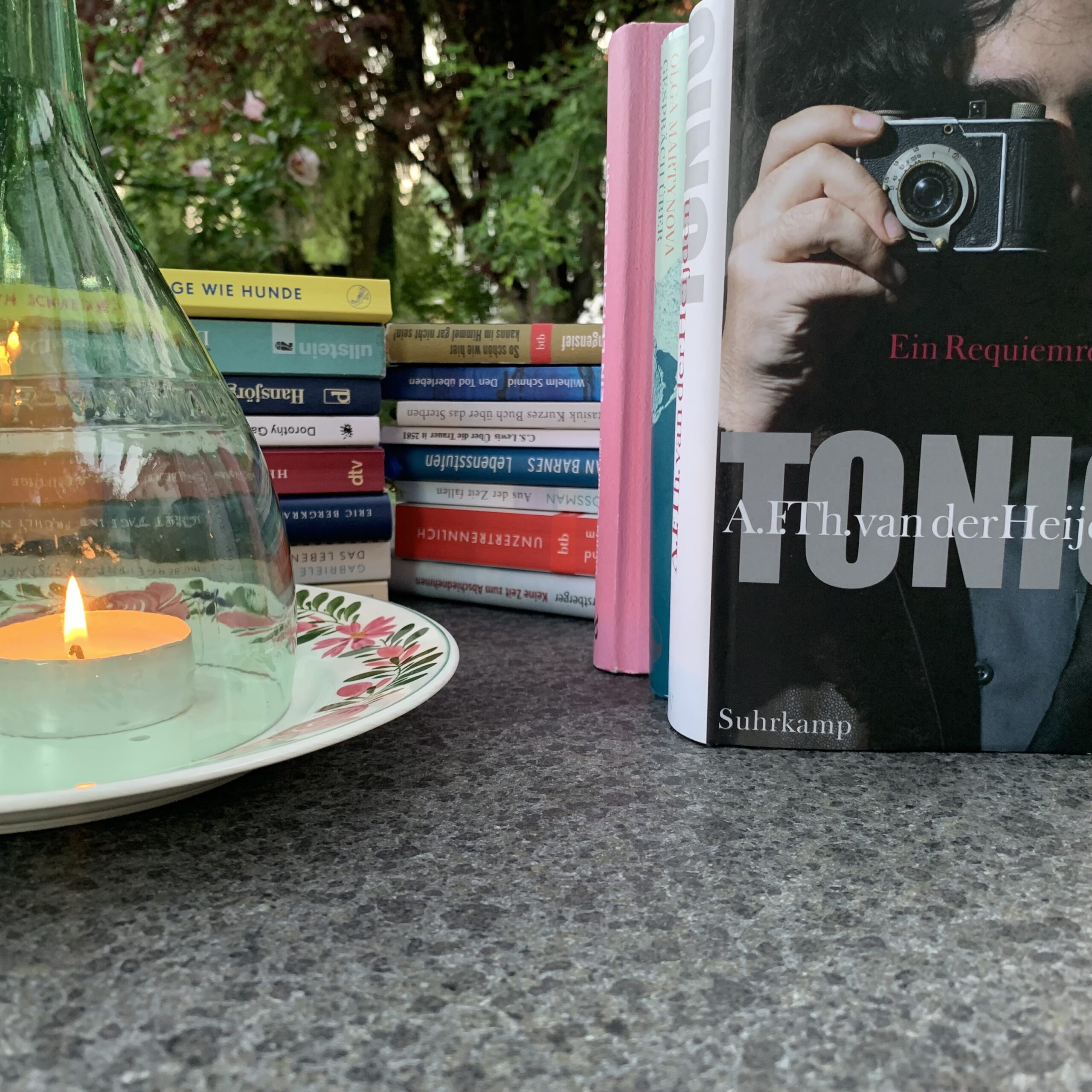 Bücher, die Katrin Zbinden für den Palliaviva-Blog bespricht.